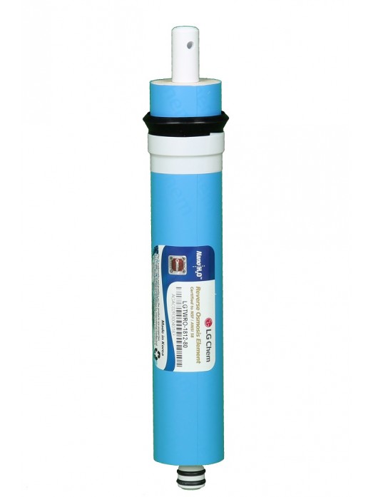 WN Gold Transparent Blue - Görsel 3
